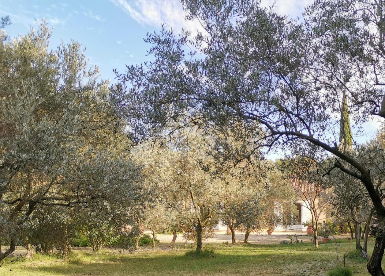 Mas Des Oursons - Chambres D'Hotes Arles Exterior photo